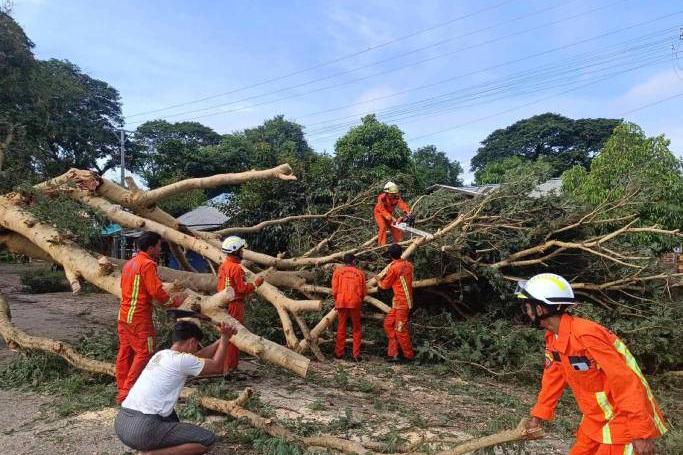 ပုံအညွှန်း - စက်တင်ဘာလ ၂၉ ရက်နေ့က မကွေးတိုင်း၊ တောင်တွင်းကြီးမြို့နယ်တွင် လေပြင်းတိုက်ခိုက်ခြင်းကြောင့်လဲပြိုခဲ့သည့် သစ်ပင်ကို ရှင်းလင်းရေးလုပ်ဆောင်နေစဥ်။ (ပုံ - Myanmar Fire Service Department)