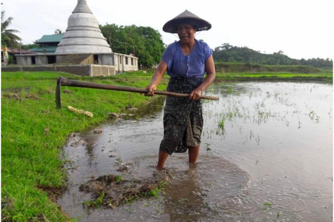 ကျောက်ဖြူမြို့နယ် လိပ်ခမော်ရွာ ဒေသခံတစ်ဦးရဲ့  စိုက်ပျိုးရေးလုပ်ငန်းခွင်   (ဓာတ်ပုံများ - ထက်ခေါင်လင်း/Myanmar Now)