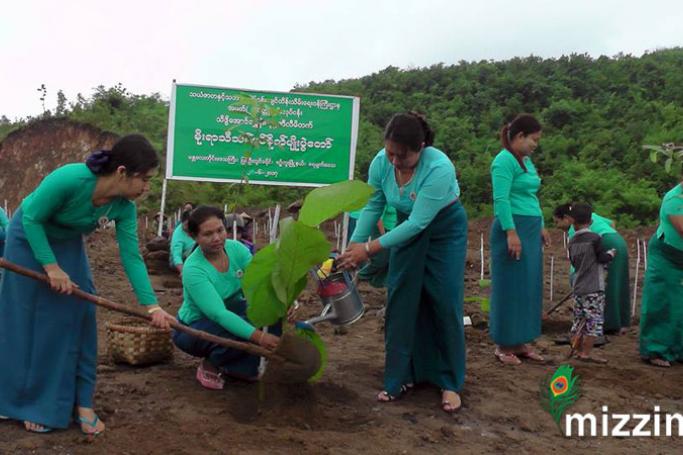 စဉ့်ကူးမြို့နယ် အမျိုးသမီးရေးရာအသင်းမှ ယနေ့ နံနက်ပိုင်းက ရေမျက်ကျေးရွာတွင် သစ်ပင်များစိုက်ပျိုးနေစဉ်