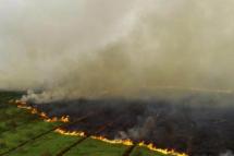Peatland မီးလောင်ကျွမ်းမှုသည် အိမ်နီးချင်း ဂျမ်ဘီပြည်နယ်ရှိ တောင်ဆူမားတြား Ogan Ilir တစ်လျှောက် ပျံ့နှံ့သွားသည် / Photo:AFP