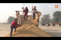 Embedded thumbnail for စိုက်ပျိုးရေးဥပဒေသစ်တွေကို ဆန့်ကျင်နေတဲ့ အိန္ဒိယတောင်သူတွေ နိုင်ငံတစ်၀န်း အထွေထွေသပိတ် စတင်